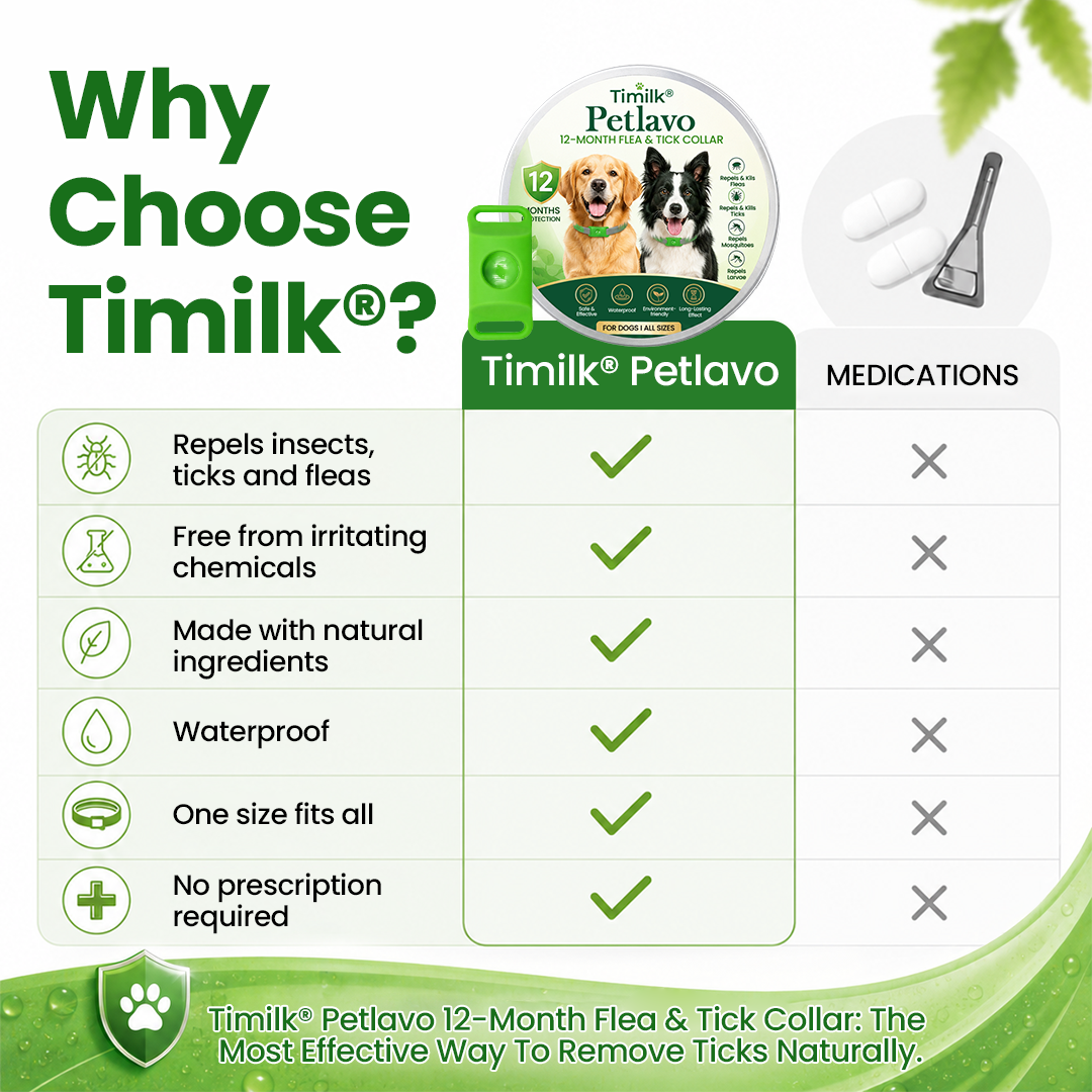 Timilk® Petlavo 12-Month Flea & Tick Collar 🐶 — Say Goodbye to Fleas & Ticks 💨, Keep Your Dog Comfortable 🌿, Long-Lasting Protection ✅